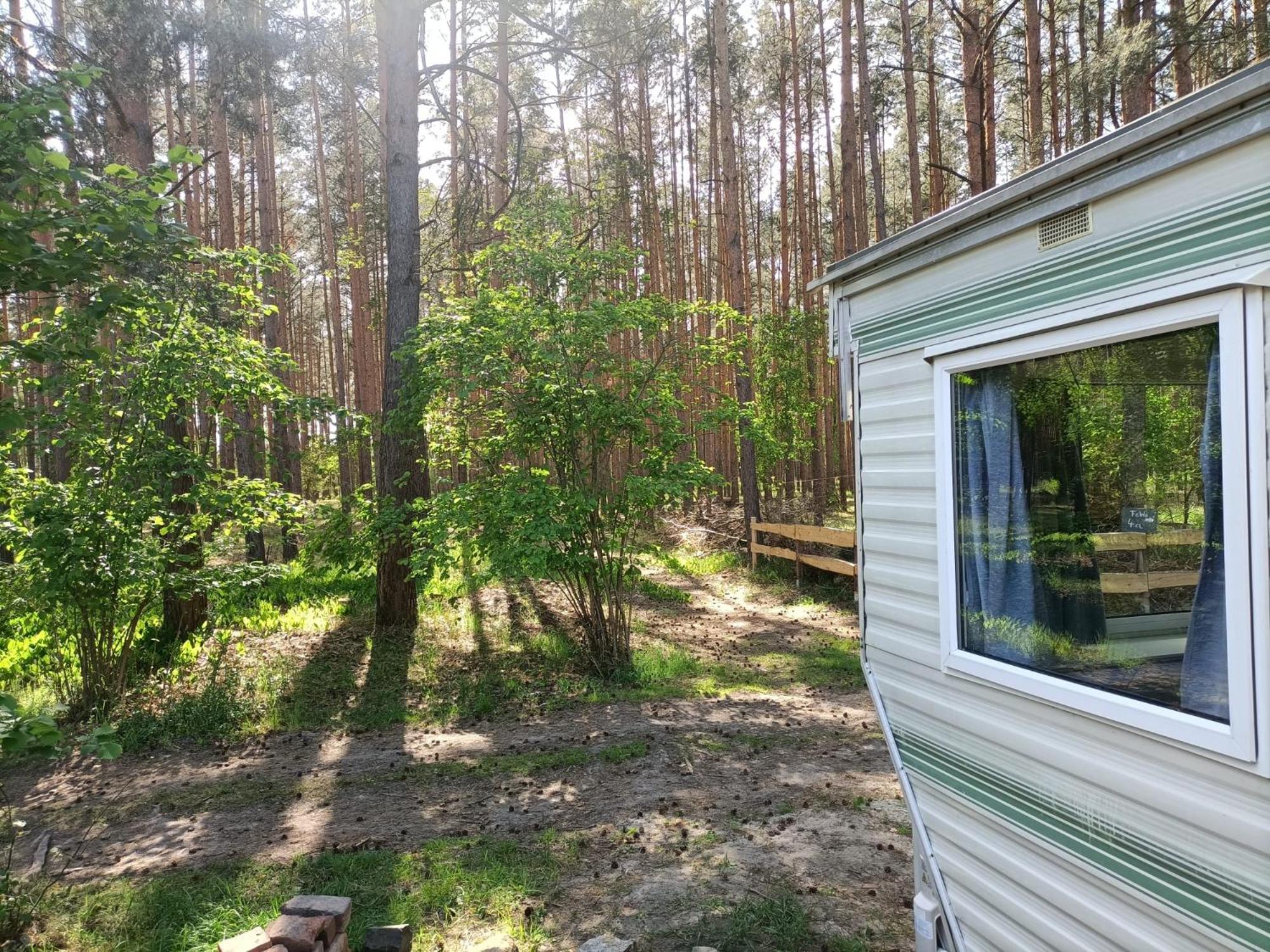 Hotel Tinyhaus Idyllisch Am Waldesrand Cottbus Exterior foto